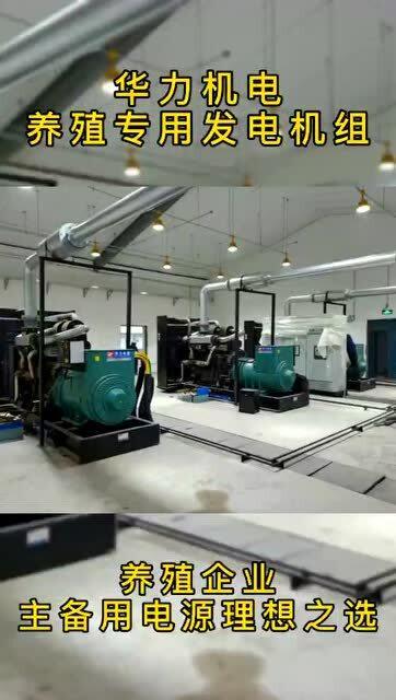 華力畜牧養(yǎng)殖專用發(fā)電機(jī)組 穩(wěn)定供電與節(jié)能環(huán)保，護(hù)航養(yǎng)殖企業(yè)溫暖過冬